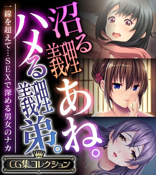あね❤ハメ【アナル舐め漫画】 パッケージ表紙